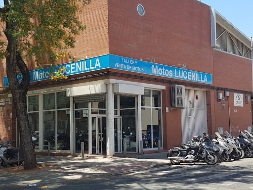 Motos Lucenilla