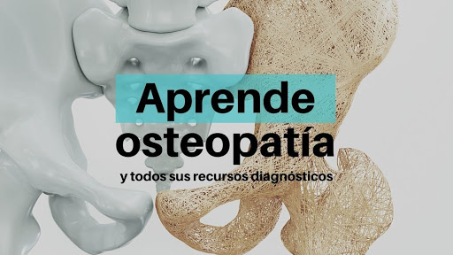 Escuela de Osteopatía de Madrid - EOM Sevilla