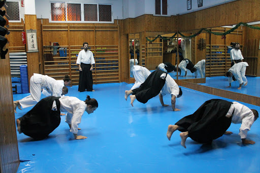 Kidokan Dojo - Artes Marciales Sevilla