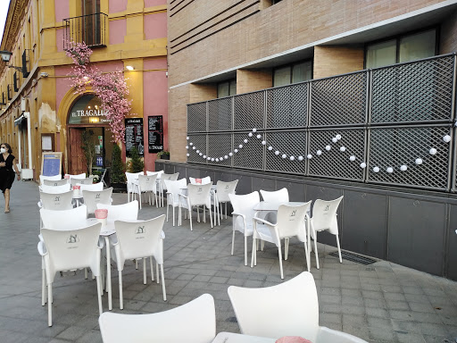 Restaurante Al Trasluz Sevilla