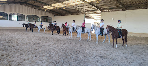 Al-Andalus Centro Hipico y pupilaje de caballos.Equitacion