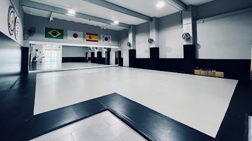 International Martial Arts Academy