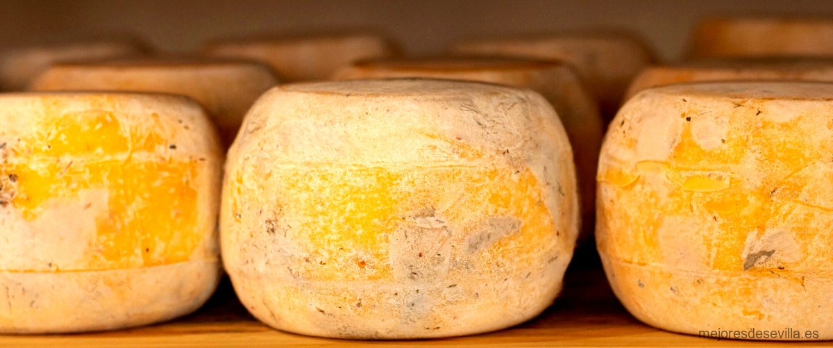 ¿Cuál es el lugar donde se producen los quesos de mejor calidad en el mundo?