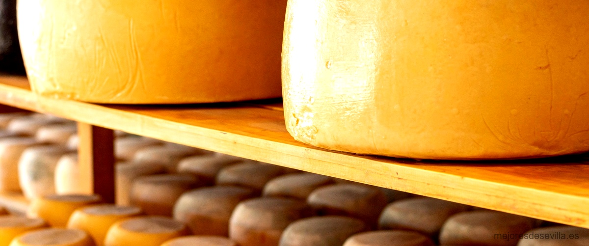 ¿Cuál es el nombre del queso típico de Cádiz?