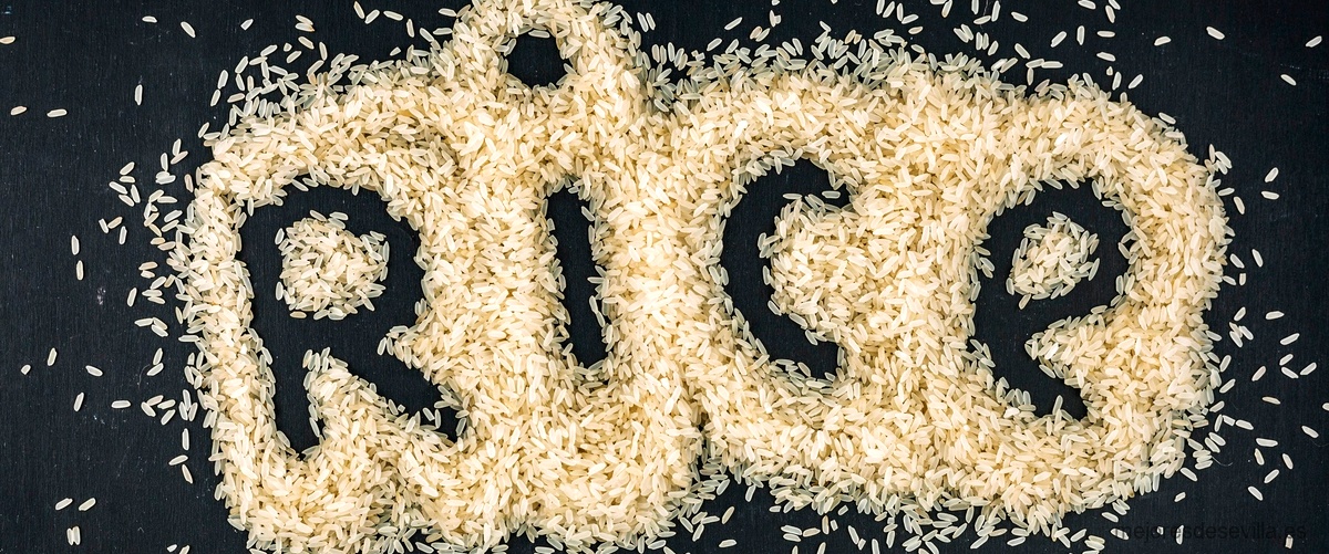 ¿Cuál es la región de España conocida por producir el mejor arroz?