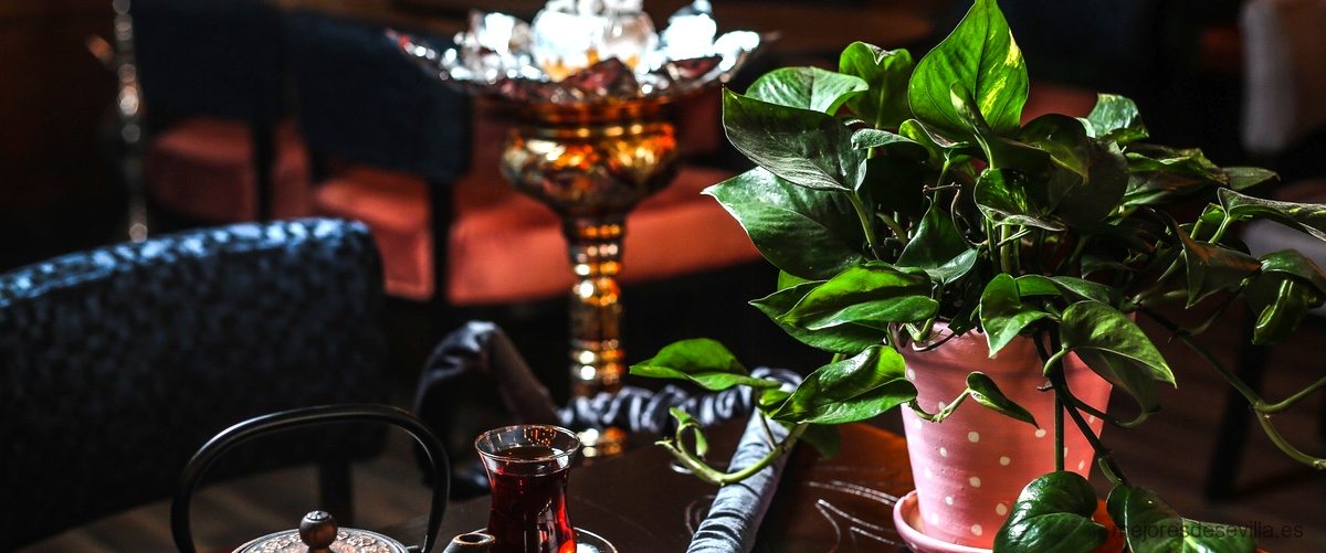 Los mejores sabores de tabaco para probar en un Shisha Lounge Sevilla
