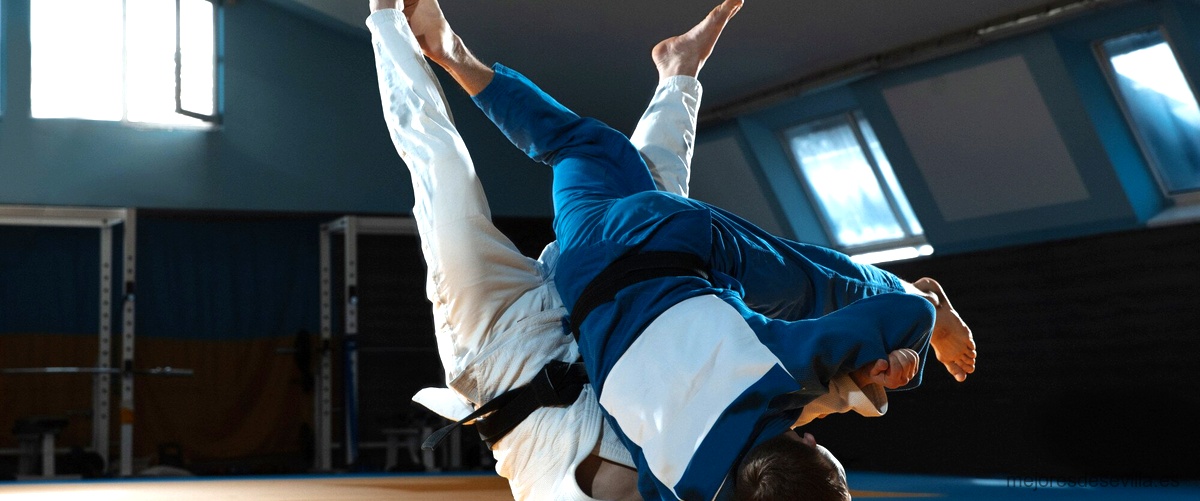 Precios medios de las clases de Judo en Sevilla