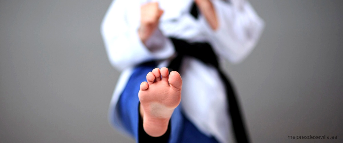 Programas de entrenamiento especializados en Judo en Sevilla