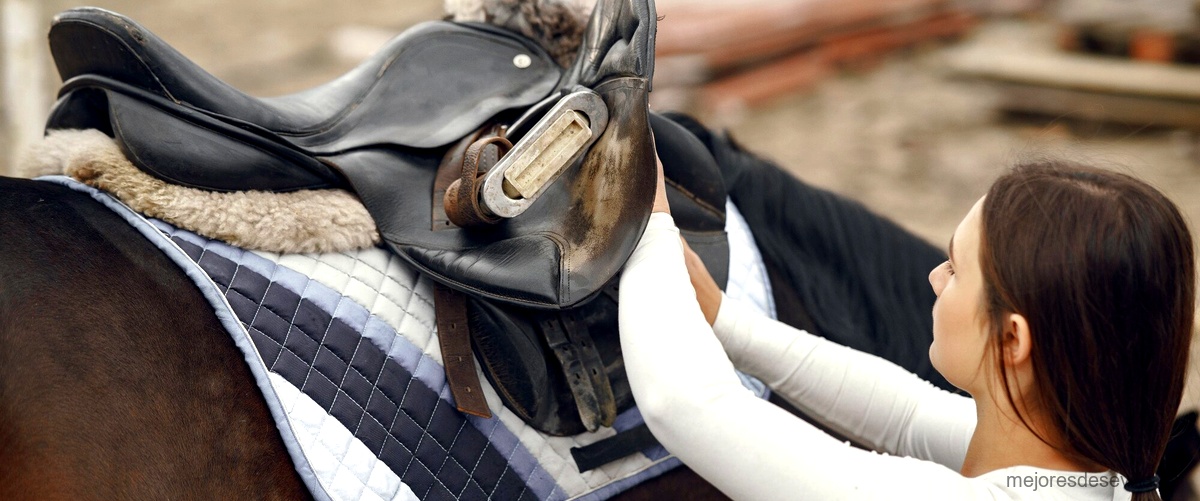 ¿Qué disciplinas de equitación se practican en el centro hípico de Sevilla?