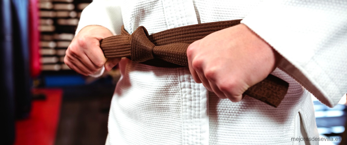 ¿Qué es el aikido y cuál es su utilidad?