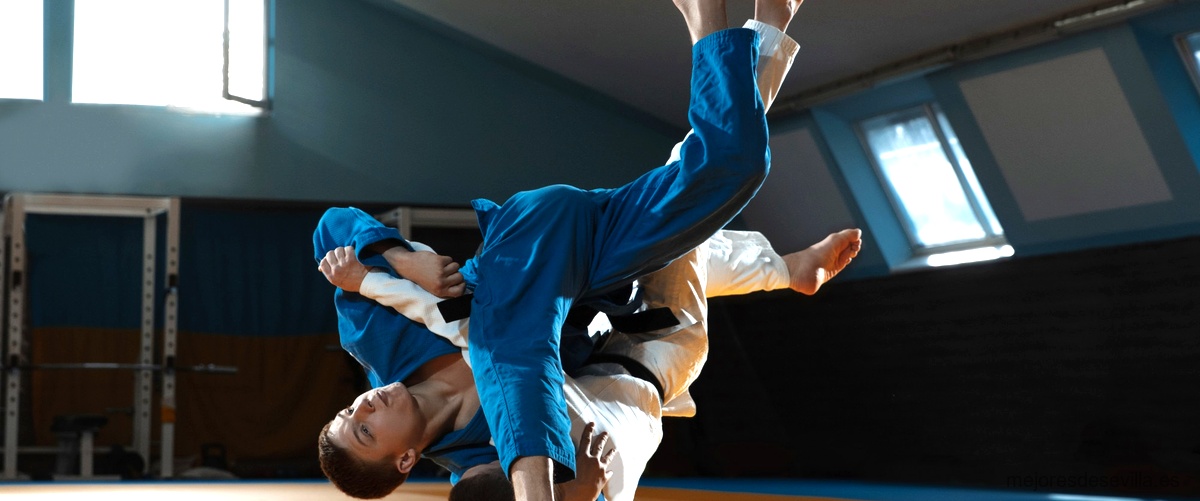 ¿Qué se necesita para practicar jiu-jitsu en Sevilla?