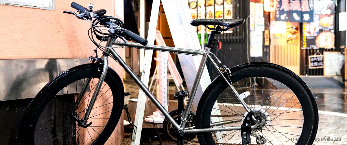 ¿Qué tipos de paseos en bicicleta se ofrecen en la tienda de bicicletas de Sevilla?