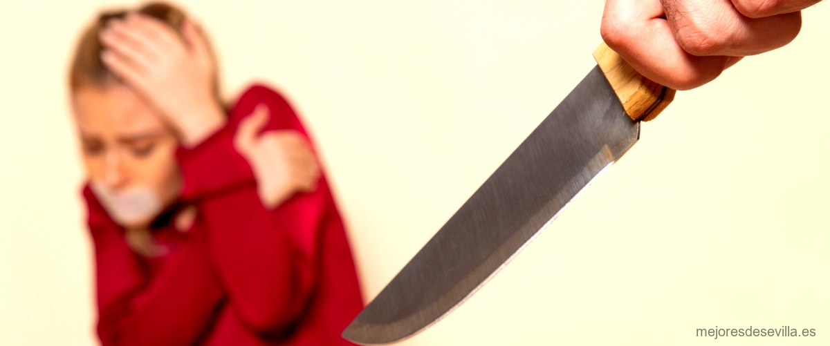 Servicios de afilado de cuchillos en cuchillerías de Sevilla