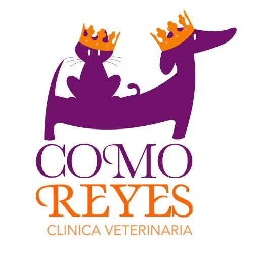 Clínica Veterinaria Como Reyes